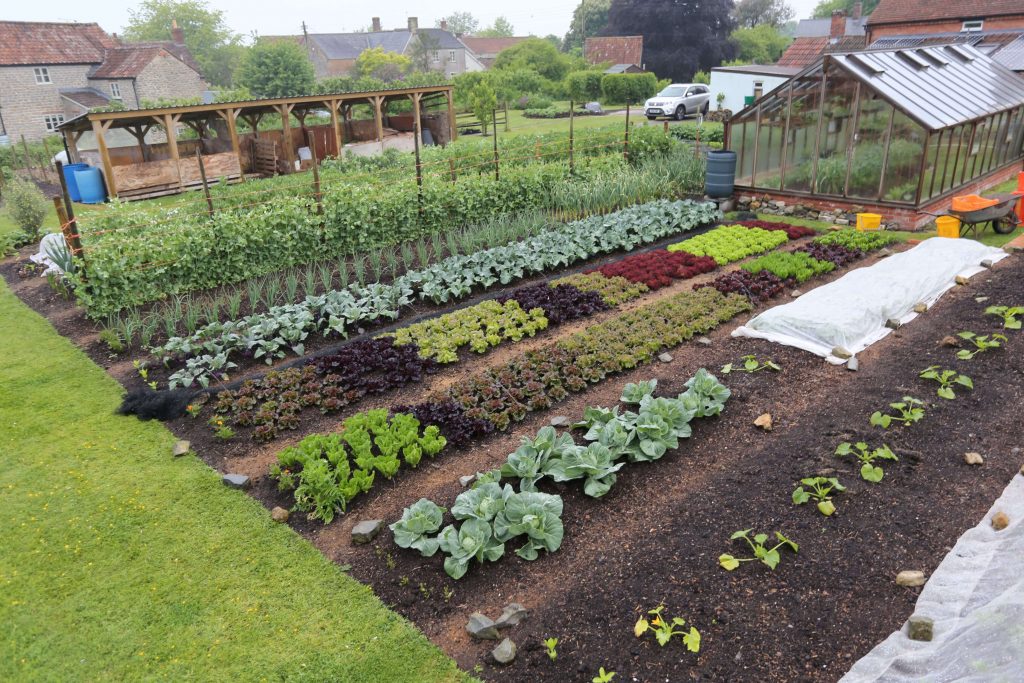 Organic Gardening, The No Dig Method (Main)