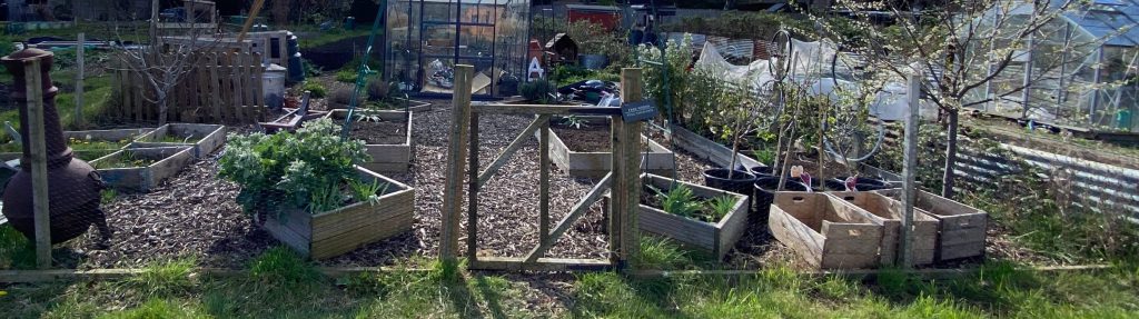 Life on the Allotment (Hero)