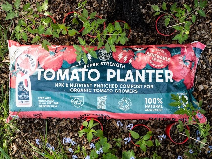 tomato and veg planter